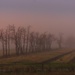 heavy fog by adi314