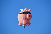 12th Oct 2018 - A Closer Look At Pigs Flying
