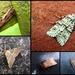 Garden moths 37 by steveandkerry