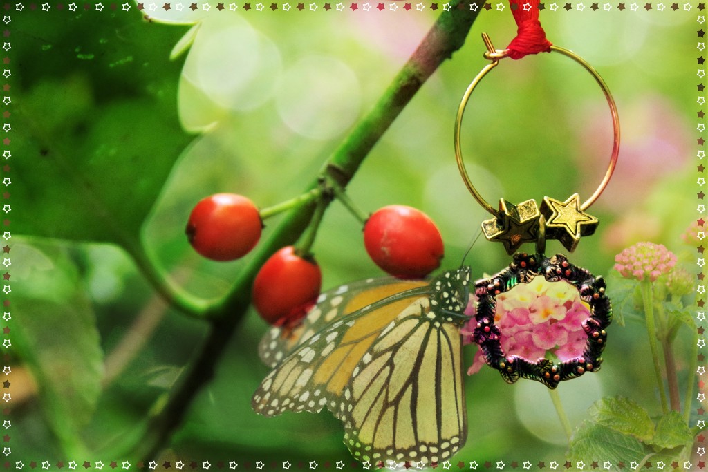 Tag Challenge Achieved - Wild Christmas Butterfly by 30pics4jackiesdiamond