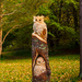 Owls carved into wood by elisasaeter