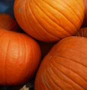 13th Oct 2018 - Pumpkins for Sale