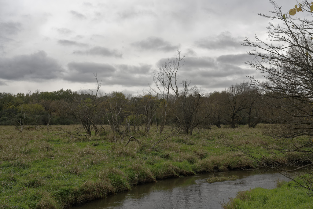creek landscape by rminer
