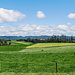 Tasmanian landscape by ulla