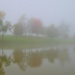 Foggy Sunday Morning by lynnz
