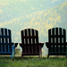 Three Chairs by gq