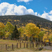 Fall Color Cucharas Pass, Colorado