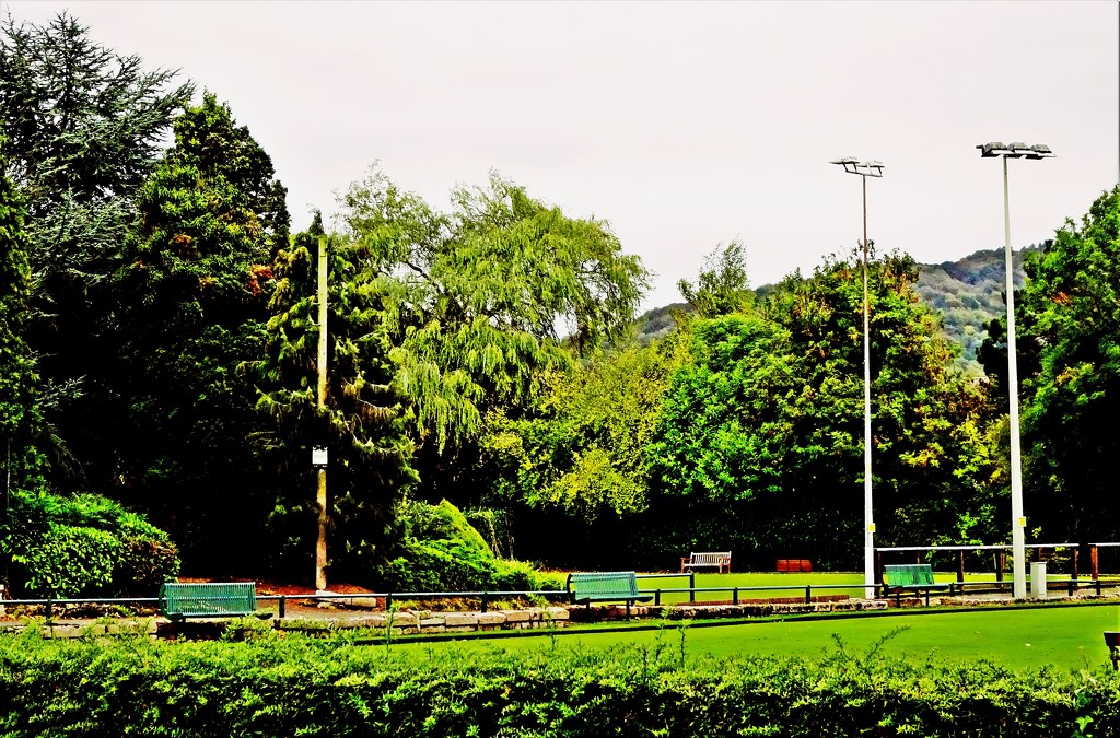  Bowring Park by beryl