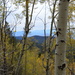 View From Aspen View Trail near Santa fe N.M. by bigdad