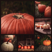 15th Oct 2018 - Pumpkin