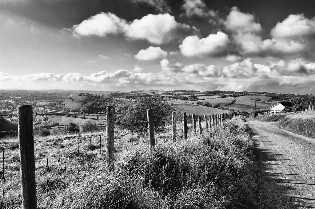 Fence Line by fbailey