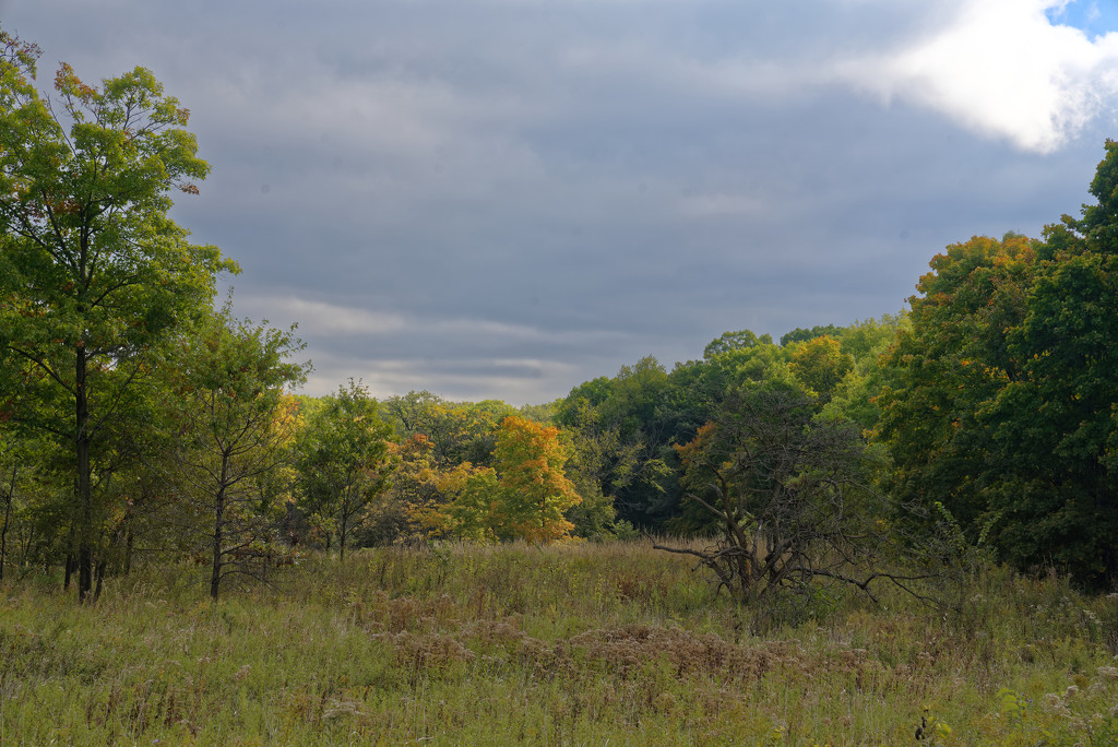 autumn landscape  by rminer