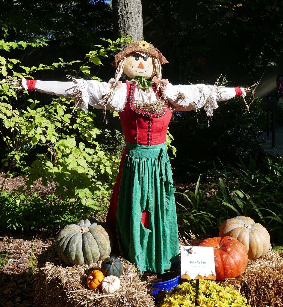 Scarecrow at Atlanta Botanical Garden by swagman