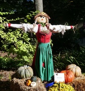 15th Oct 2018 - Scarecrow at Atlanta Botanical Garden