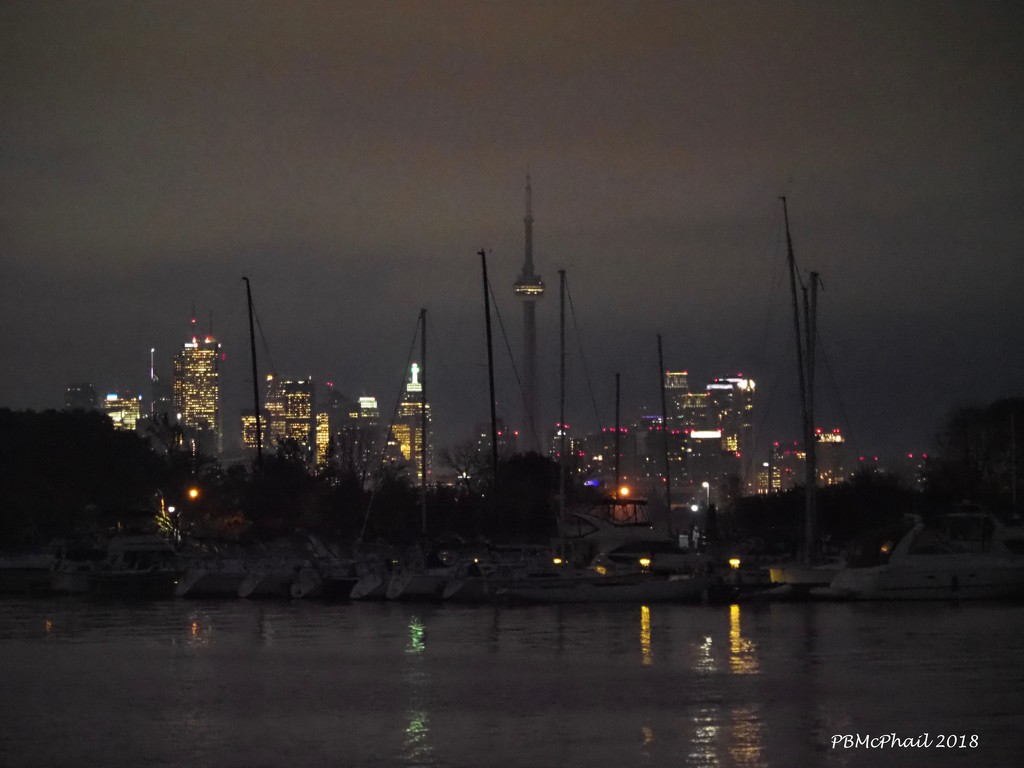 Masts and City Lights by selkie