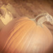 Pumpkin Aglow with Afternoon Light by 365karly1