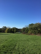 16th Oct 2018 - Frost Hill at the Morton Arboretum 