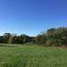 Frost Hill at the Morton Arboretum  by kchuk