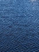 10th Oct 2018 - 1010_20111 ripples of water