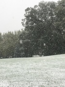 14th Oct 2018 - 1014_22101 first snow-broke record