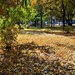Autumn in the park! by kork