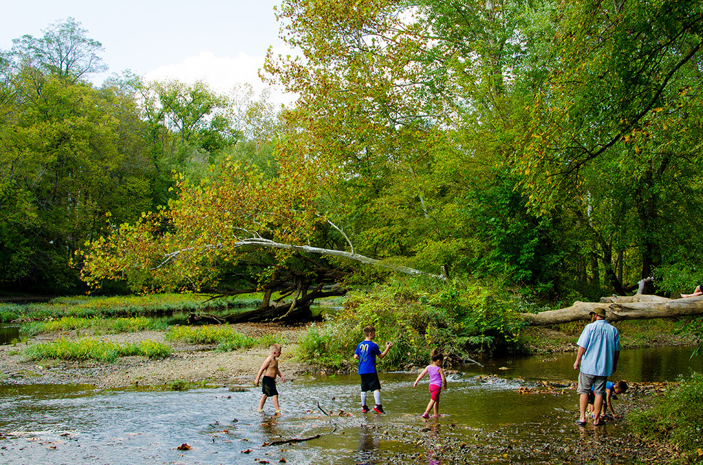Family fun at the creek by ggshearron