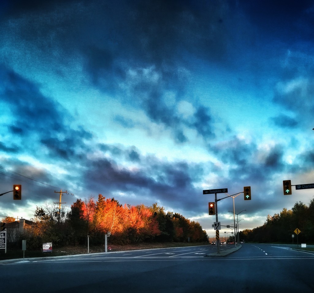 Fall morning by adi314