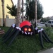 Arachnid  by jnadonza