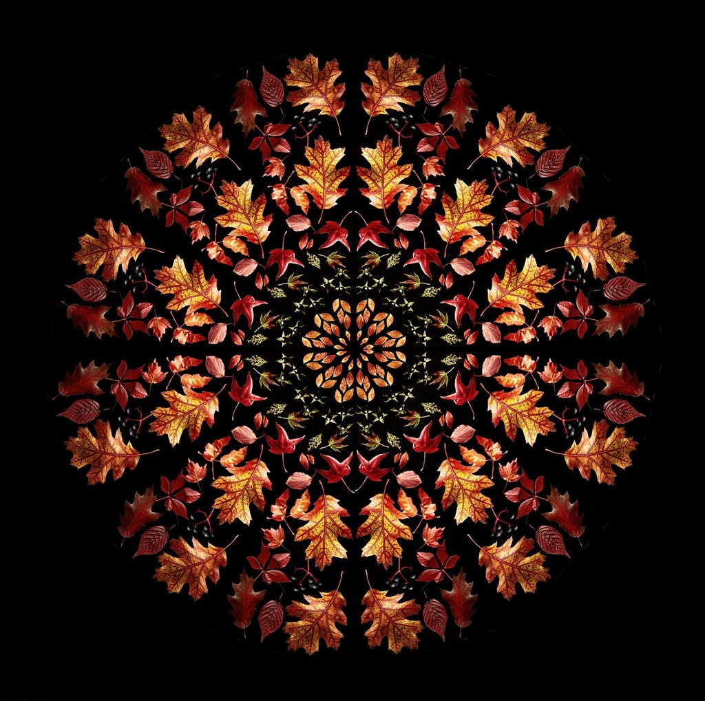 2018-10-18 autumn kaleidoscope by mona65