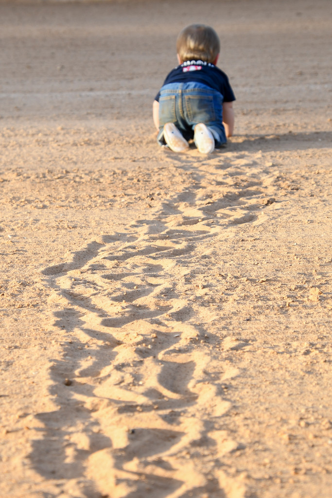 Tracks in the sand by danette