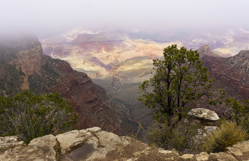 Fog Finally Rising Over Grand Canyon  by jgpittenger