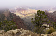 18th Oct 2018 - Fog Finally Rising Over Grand Canyon 