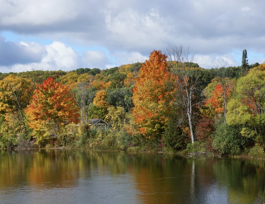 Richardi Park—Bellaire, MI by amyk