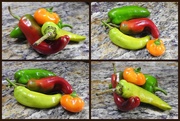 14th Oct 2018 - Four Peppers