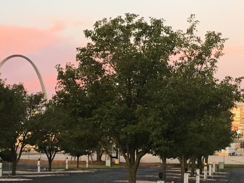 Morning St Louis by wilkinscd