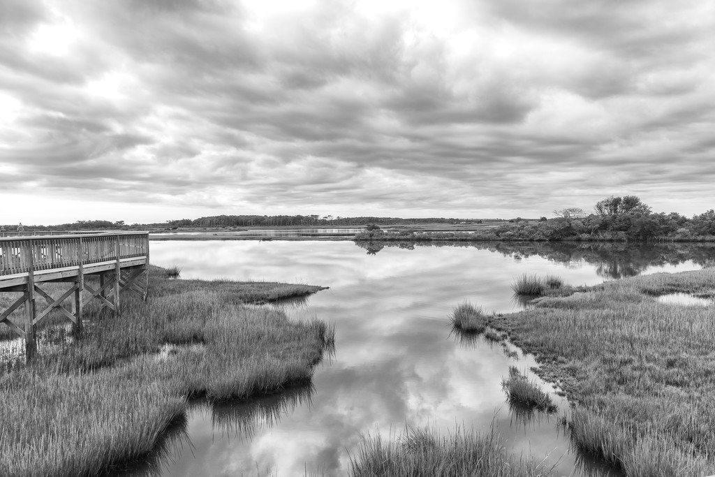 marsh walk cloudy day by jernst1779