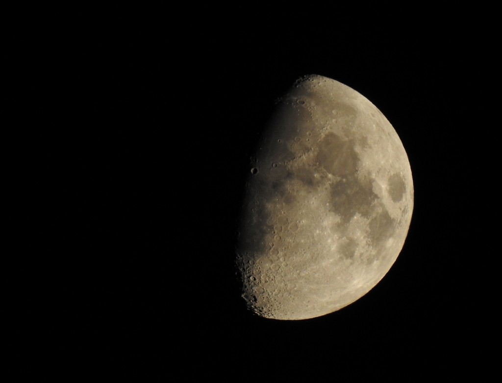 Waxing Gibbous by roachling