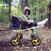 adventure cart  by annymalla