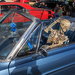 You've got to like an October car show. by batfish