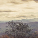 View from Blowing Rock NC by randystreat