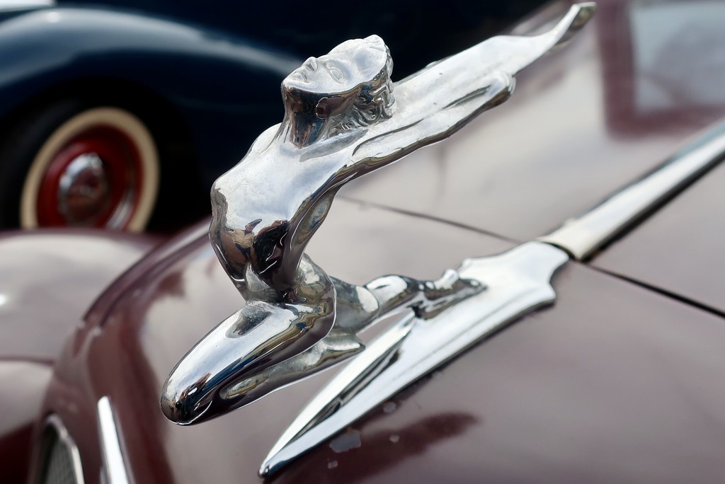 The “naked flying lady” hood ornament by louannwarren