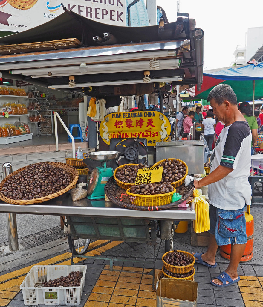 Chinese Chestnuts by ianjb21