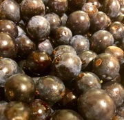 21st Oct 2018 - Sloes...