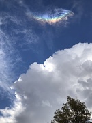 21st Oct 2018 - Rainbow in the clouds
