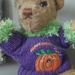 Halloween Teddy by spanishliz