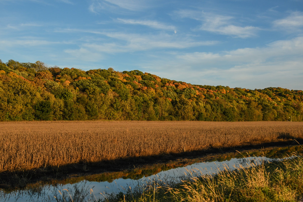 Autumn Reflection by kareenking