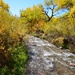 Fall Along The Jemez River by bigdad