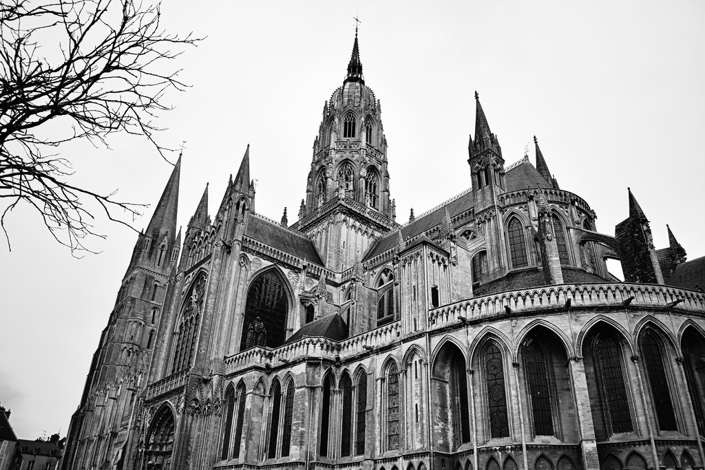 Gloriously Gothic by alophoto