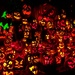 Pumpkin Spectacular by photogypsy