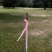 Pink Ribbon by ingrid01
